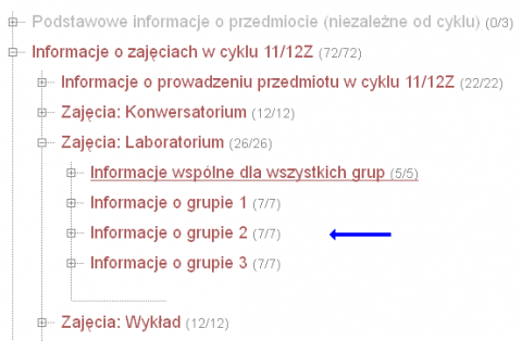zrzut ekranu pokazujący wybór informacji dla konkretnej grupy zajęciowej w edycji przedmiotów